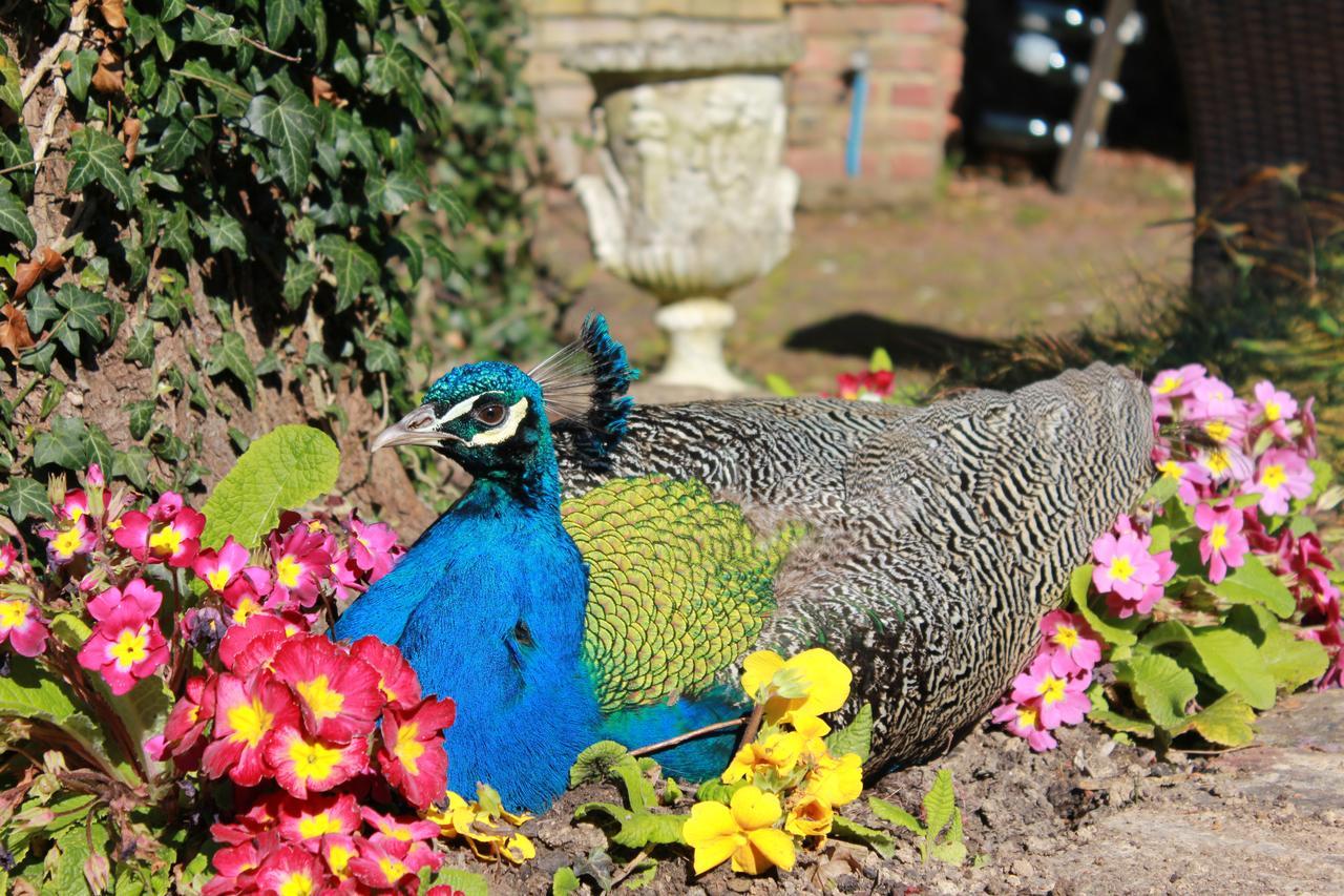 Powdermills Country House Hotel แบทเทิล ภายนอก รูปภาพ